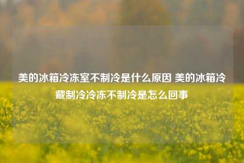 美的冰箱冷冻室不制冷是什么原因 美的冰箱冷藏制冷冷冻不制冷是怎么回事