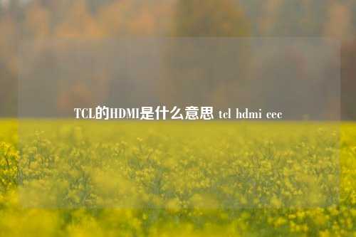 TCL的HDMI是什么意思 tcl hdmi cec