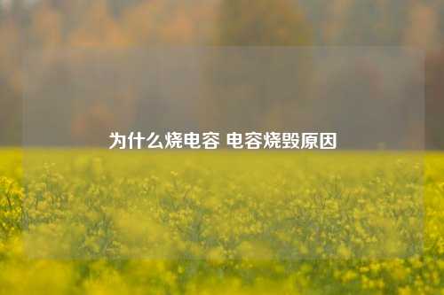 为什么烧电容 电容烧毁原因