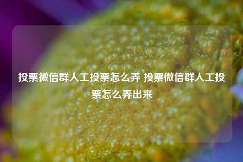 投票微信群人工投票怎么弄 投票微信群人工投票怎么弄出来