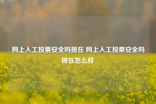 网上人工投票安全吗现在 网上人工投票安全吗现在怎么样