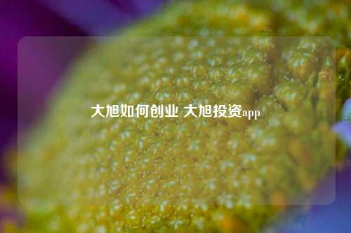 大旭如何创业 大旭投资app