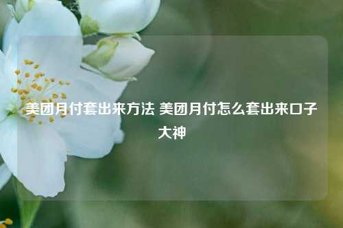 美团月付套出来方法 美团月付怎么套出来口子大神