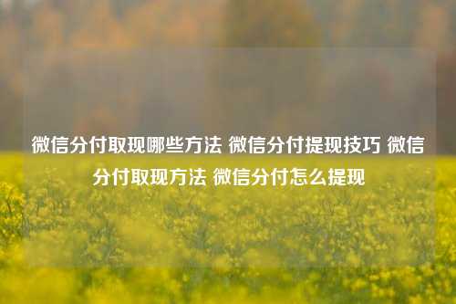 微信分付取现哪些方法 微信分付提现技巧 微信分付取现方法 微信分付怎么提现