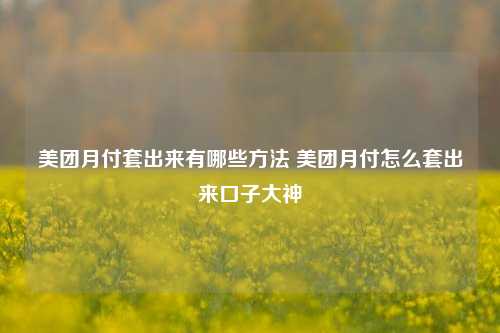 美团月付套出来有哪些方法 美团月付怎么套出来口子大神