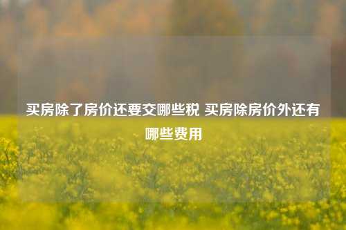 买房除了房价还要交哪些税 买房除房价外还有哪些费用