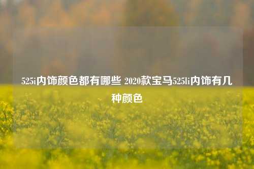 525i内饰颜色都有哪些 2020款宝马525li内饰有几种颜色