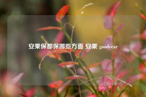 安乘保都保哪些方面 安乘 goodyear