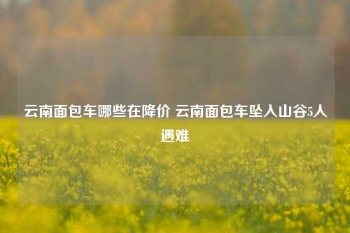 云南面包车哪些在降价 云南面包车坠入山谷5人遇难