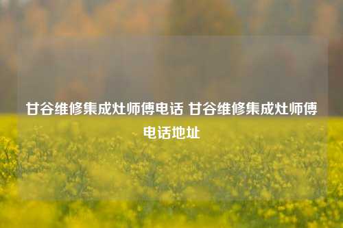 甘谷维修集成灶师傅电话 甘谷维修集成灶师傅电话地址