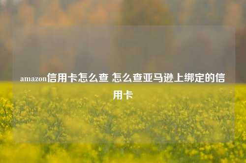 amazon信用卡怎么查 怎么查亚马逊上绑定的信用卡