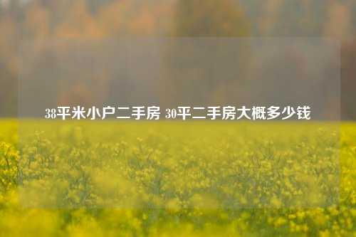 38平米小户二手房 30平二手房大概多少钱