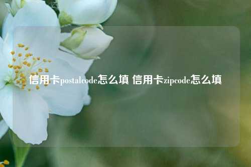 信用卡postalcode怎么填 信用卡zipcode怎么填