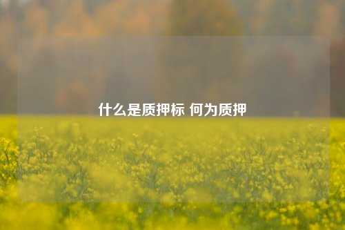 什么是质押标 何为质押