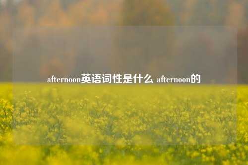 afternoon英语词性是什么 afternoon的