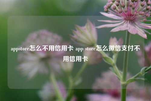 appstore怎么不用信用卡 app store怎么微信支付不用信用卡