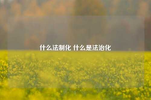 什么法制化 什么是法治化