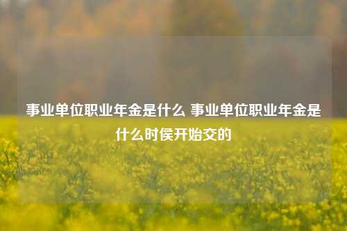 事业单位职业年金是什么 事业单位职业年金是什么时侯开始交的