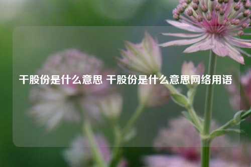 干股份是什么意思 干股份是什么意思网络用语