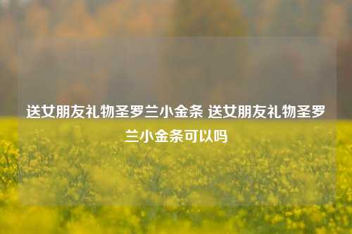 送女朋友礼物圣罗兰小金条 送女朋友礼物圣罗兰小金条可以吗