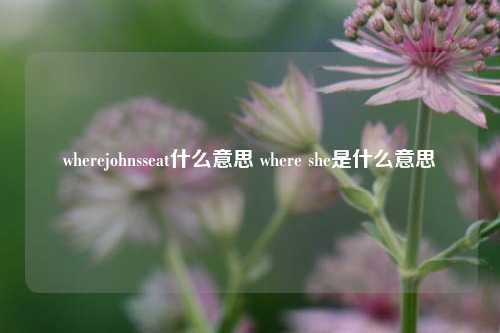 wherejohnsseat什么意思 where she是什么意思