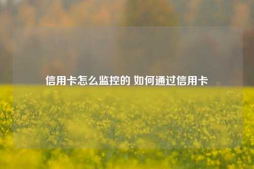 信用卡怎么监控的 如何通过信用卡