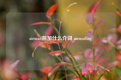 airmail前加什么介词 airmailing