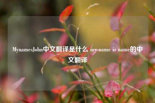 MynamesJohn中文翻译是什么 my name is name的中文翻译