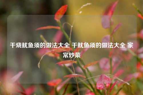 干烧鱿鱼须的做法大全 干鱿鱼须的做法大全 家常炒菜