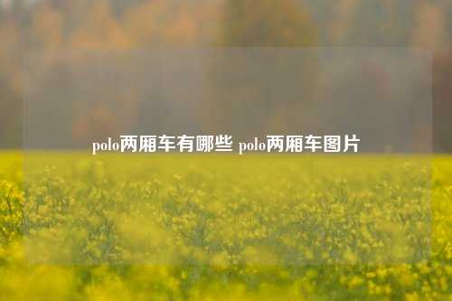 polo两厢车有哪些 polo两厢车图片