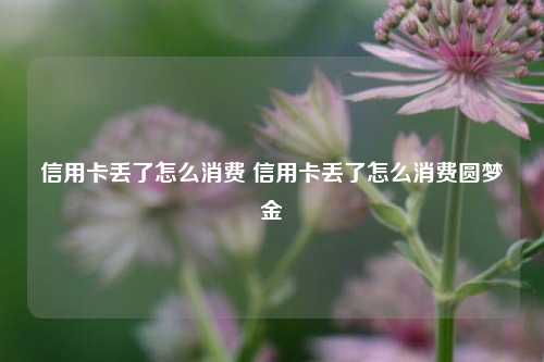 信用卡丢了怎么消费 信用卡丢了怎么消费圆梦金