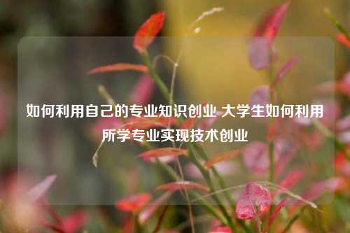 如何利用自己的专业知识创业 大学生如何利用所学专业实现技术创业