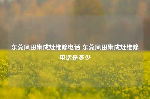 东莞风田集成灶维修电话 东莞风田集成灶维修电话是多少