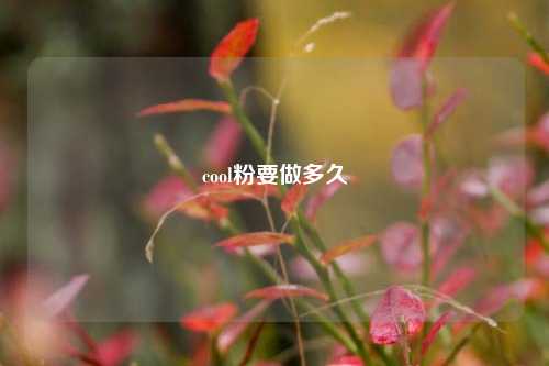 cool粉要做多久