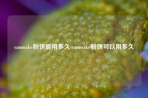 canmake粉饼能用多久 canmake粉饼可以用多久