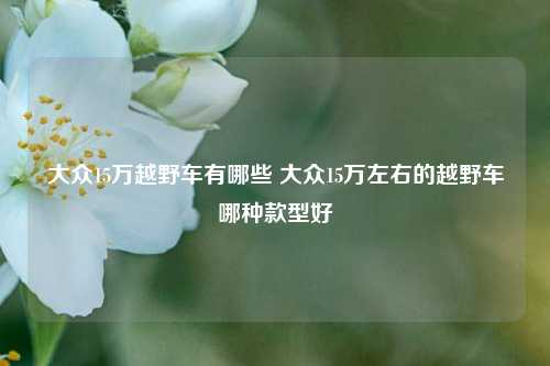 大众15万越野车有哪些 大众15万左右的越野车哪种款型好