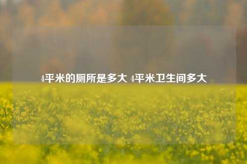 4平米的厕所是多大 4平米卫生间多大